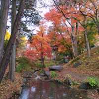 岩手県！盛岡城跡公園で紅葉狩り