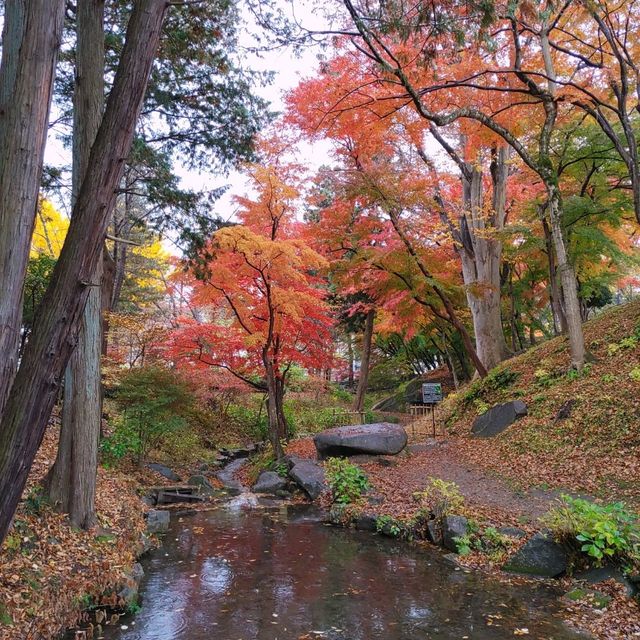 岩手県！盛岡城跡公園で紅葉狩り