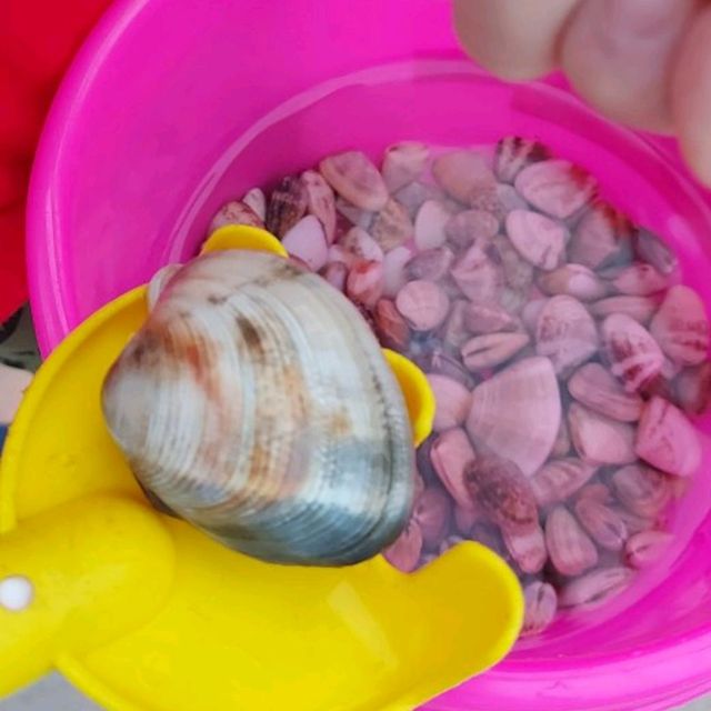 親近大自然遠離煩囂既離島一日遊