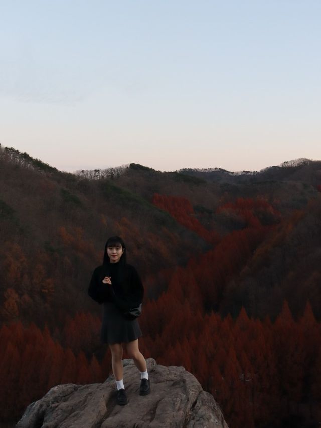 단풍 막차타러 다녀온 대전 장태산 