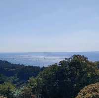 제주도 수학여행 필수코스 천지연폭포를 가보자
