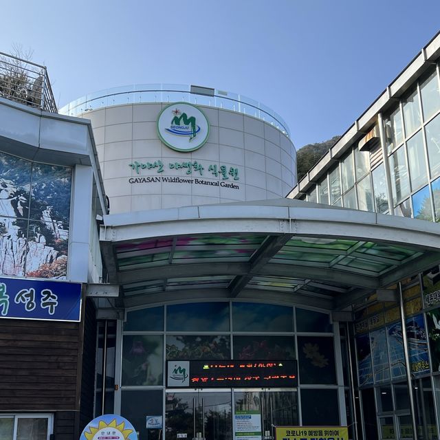 가야산 야생화 식물원에서 따뜻하게 꽃구경해요!