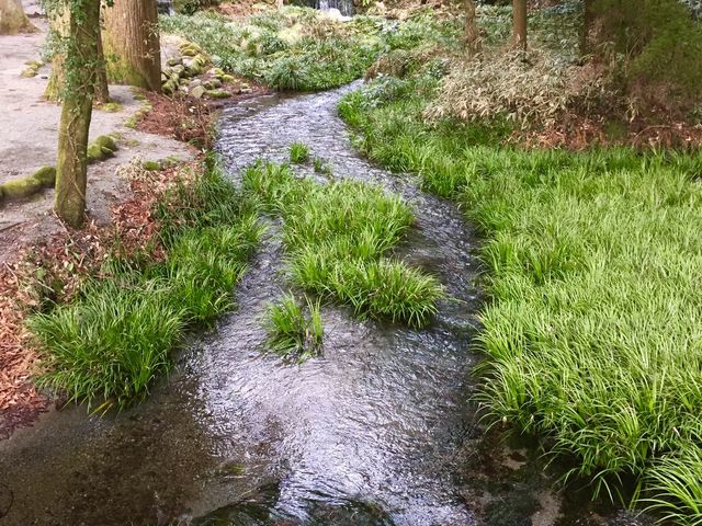 水神様祀る池山水源