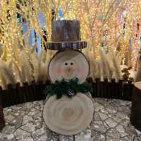 ✨浪漫北歐雪國童話小鎮☃✨