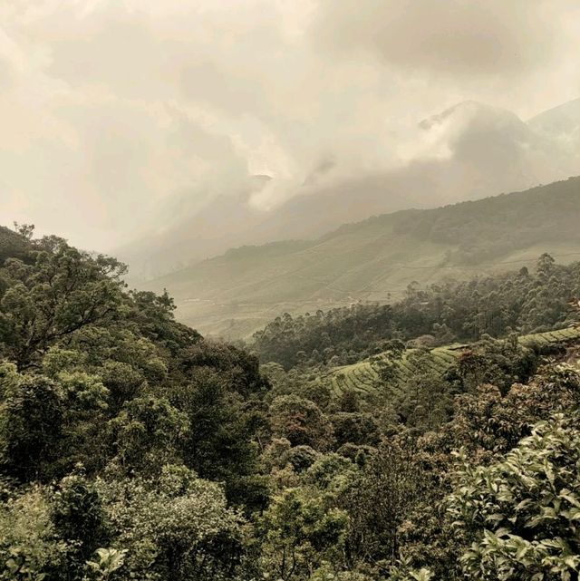 Trip to paradise land in South India -Kerala