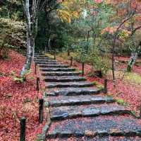 京都紅葉2022 天龍寺の紅葉