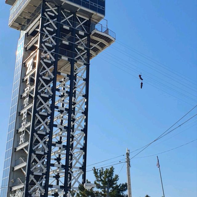 대천해수욕장에서 걸어서 10분이면 대천항 수산시장이다.