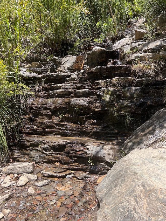 Sterling Ranges! Bluff Knoll Worthy Hike!😎