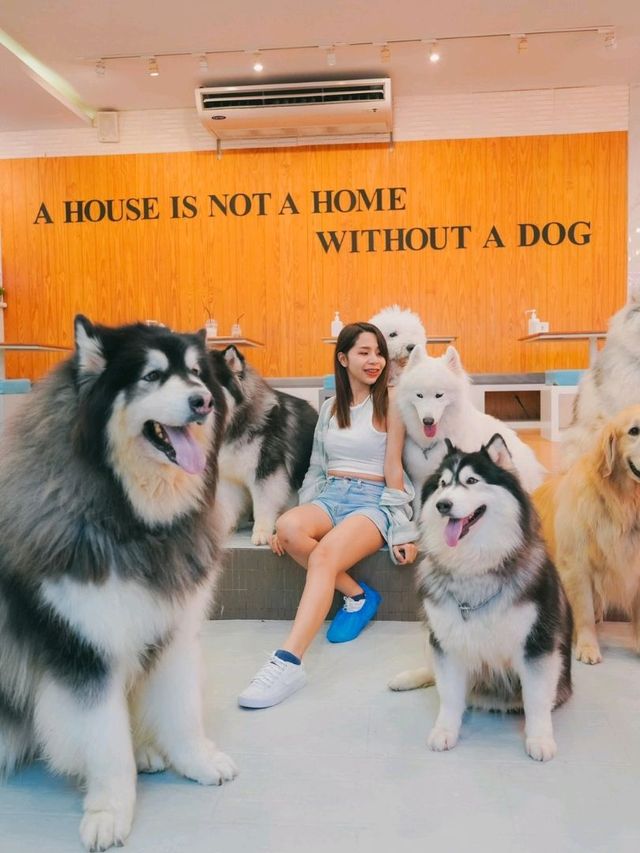 Husky House Cafe ชลบุรี