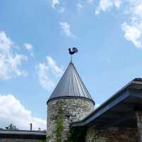 The Dry Comal Creek Vineyards