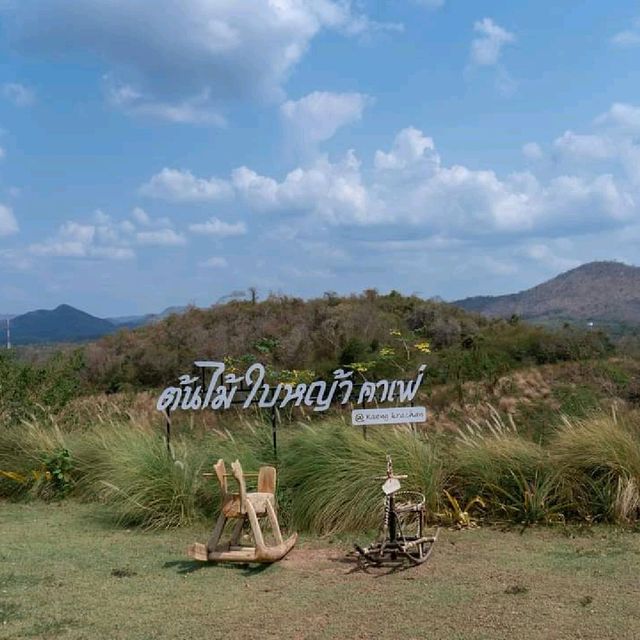 ต้นไม้ใบหญ้า Cafe' at แก่งกระจาน 🏕