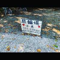 竹富島のカイジ浜でまったりブランコ