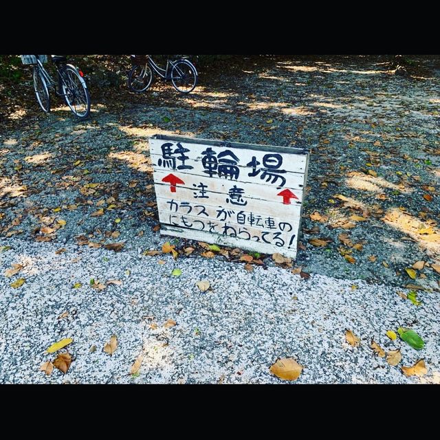 竹富島のカイジ浜でまったりブランコ