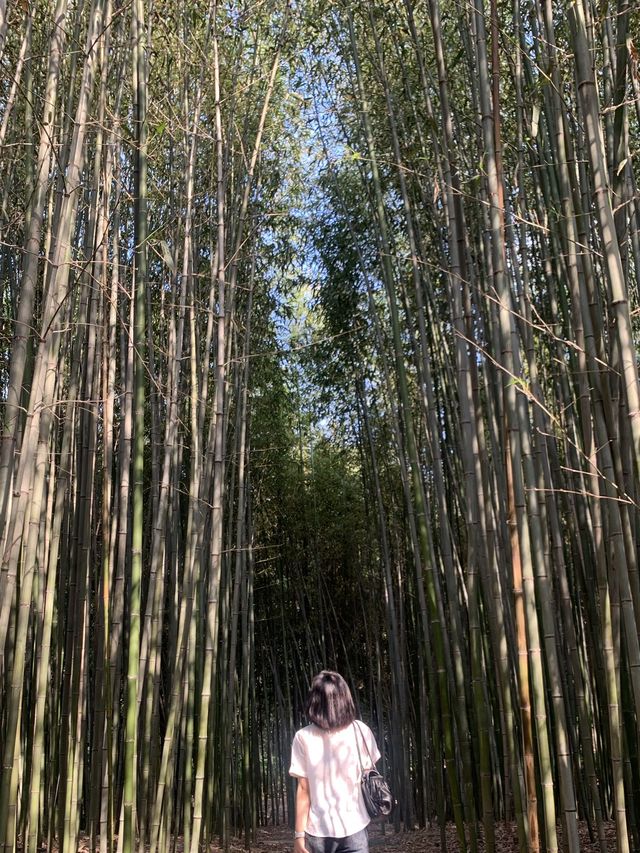 [대구] 요즘 대세는 풀멍🌳🌿💚