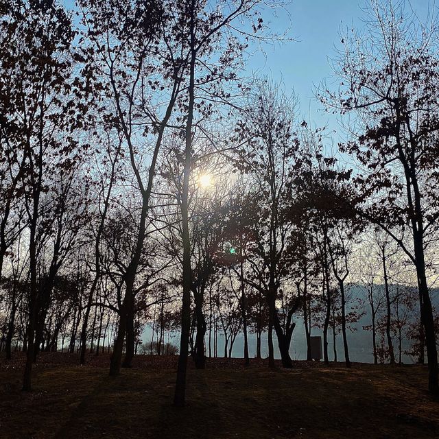 물멍하기 좋은 호수뷰카페  🌊