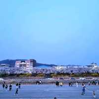 🌸청주 벚꽃 로드 <무심천>