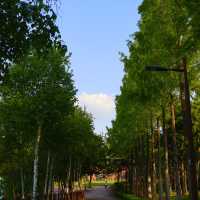 산책하기 좋은 선유도공원🌳