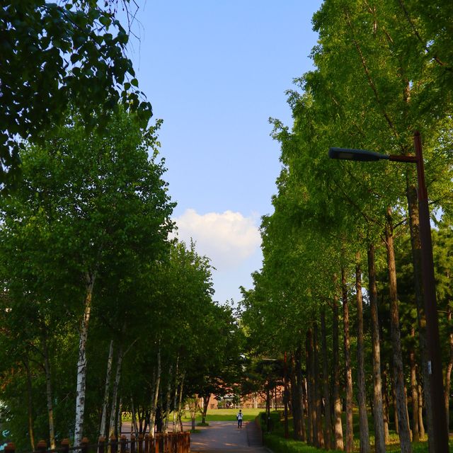 산책하기 좋은 선유도공원🌳