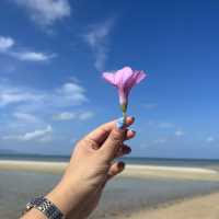 Bodega beach ที่สุดของความสวยบนเกาะพะงัน 