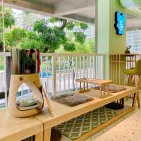 《🍀湖水綠自然清新cafe☕️可愛樹蛙主題🐸》