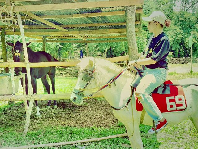 PICNIC GROOVE TAGAYTAY PHILIPPINES 