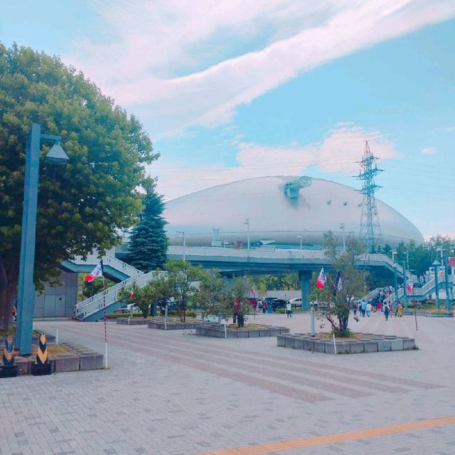 札幌ドーム