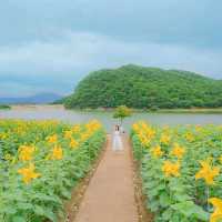 🌻[경주 카페, 바실라]에서 인생사진 찍는 꿀팁 한스푼🍯