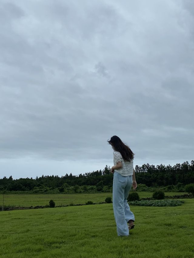 사계절 내내 꽃을 볼 수 있는 바람 부는 밭 • 제주 보롬왓