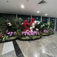 ✈️ Changi Airport August special 