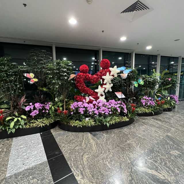 ✈️ Changi Airport August special 