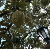 Durian Farm Villa - The Waterway Villa