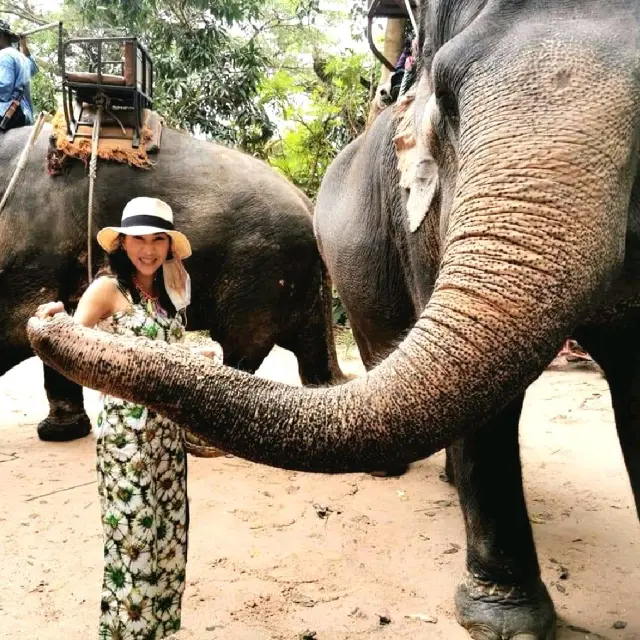 จิบกาแฟ ดูช้าง ที่มองช้างคาเฟ่ 🐘🐏🌳🌿🍂🍃