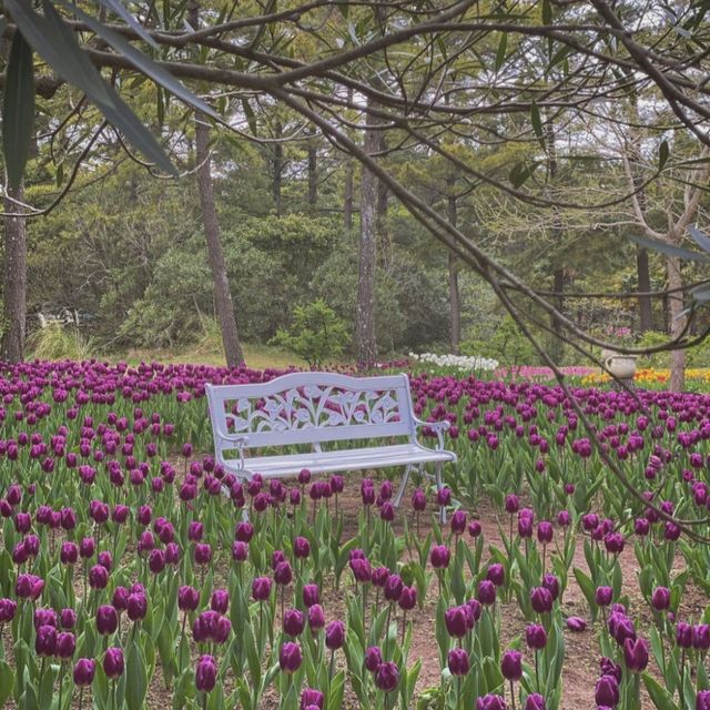 제주여행 필수 한림공원!🌷🌹
