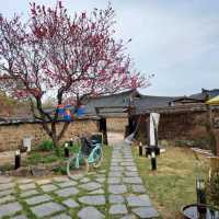 Exploring Gyeongju Kyochon Hanok