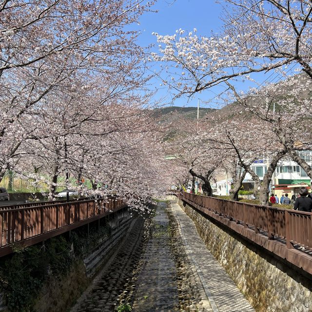 경남 벚꽃 명소, 진해 여좌천 로망스다리