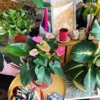 Petite Nature cafe & market