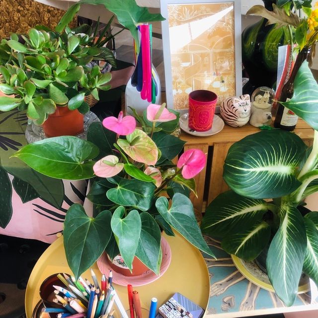 Petite Nature cafe & market