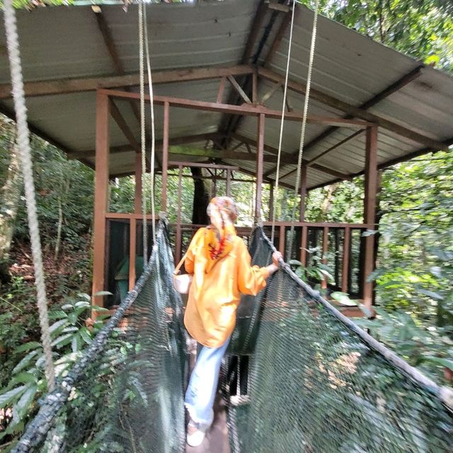 KOLAM AIR PANAS DAN JAMBATAN GANTUNG