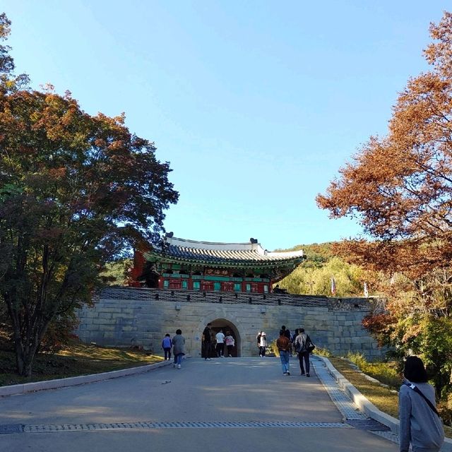 인천여행 단풍 제대로 들었네요. 전등사 투어