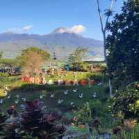DAVAO: LAND OF PEACE