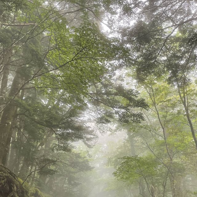 富士登山！