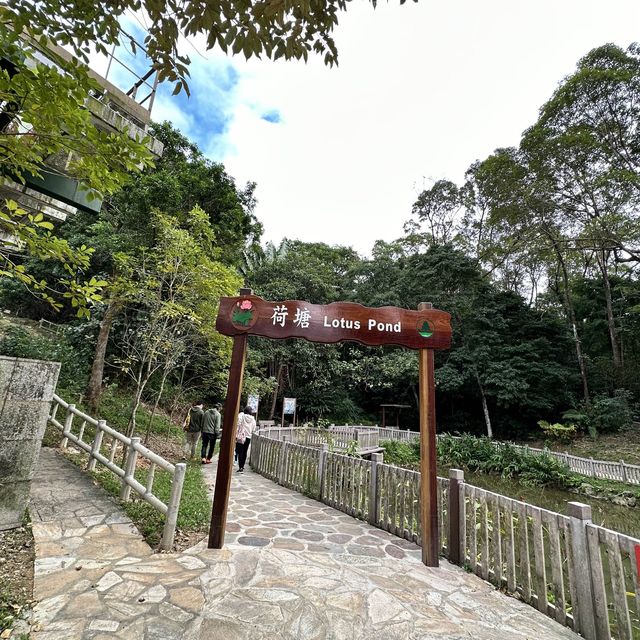 西貢北港「獅子會自然教育中心」老少咸宜