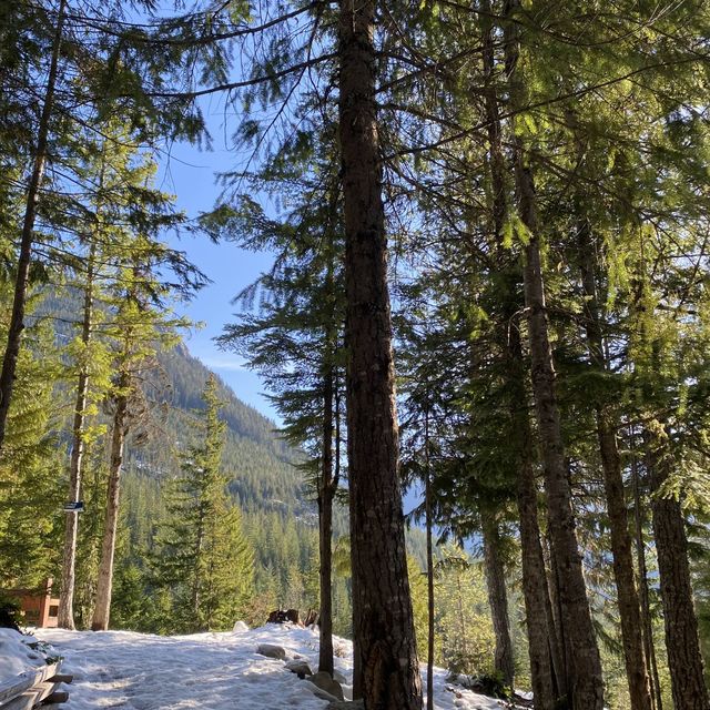 Squamish Sea to Sky Gondola 