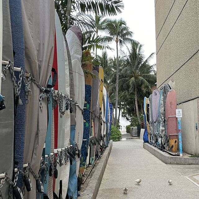 Early Morning walks on Waikiki Beach