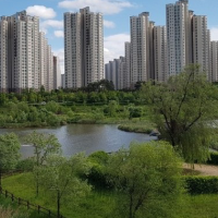 경기도 파주 운정호수공원 피크닉