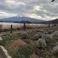 Ohaiyo Mt Fuji, Japan