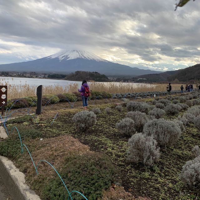 Ohaiyo Mt Fuji, Japan