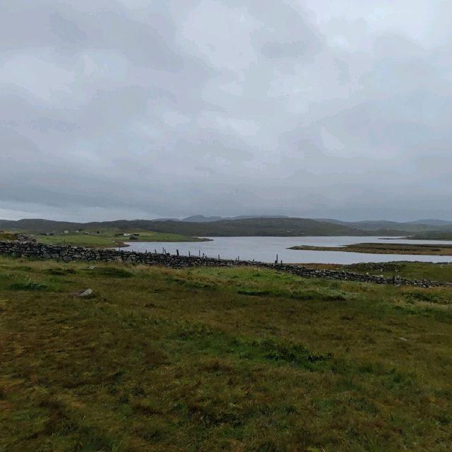 altTitle