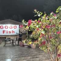 Yummy Gogo fish