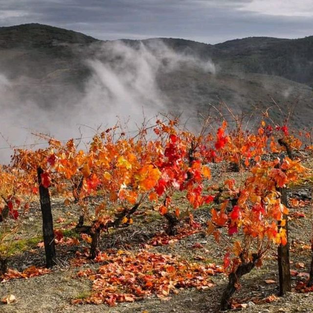 Warm Fall in Portugal